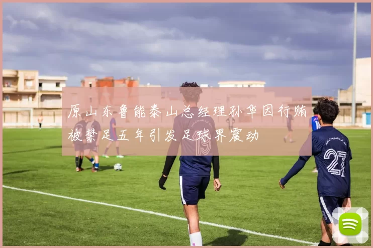 原山东鲁能泰山总经理孙华因行贿被禁足五年引发足球界震动
