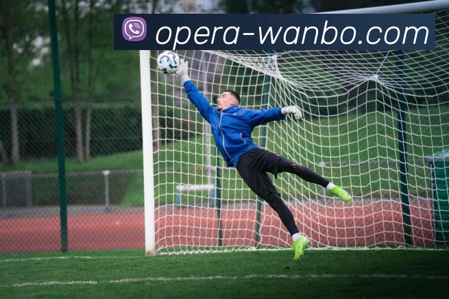 万博体育APP 封面图